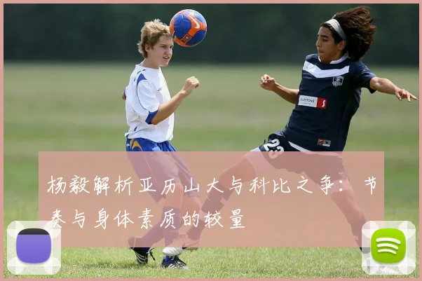 杨毅解析亚历山大与科比之争：节奏与身体素质的较量
